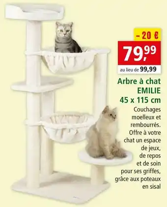 Maxi Zoo Arbre à chat emilie offre
