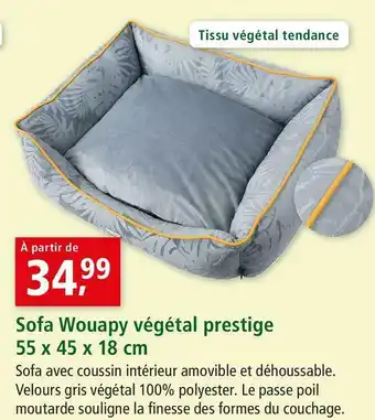 Maxi Zoo Sofa wouapy végétal prestige offre