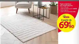 Mr Bricolage Tapis intérieur un réflex maxim offre