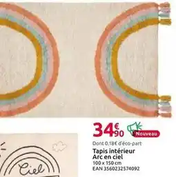Mr Bricolage Tapis intérieur arc en ciel offre