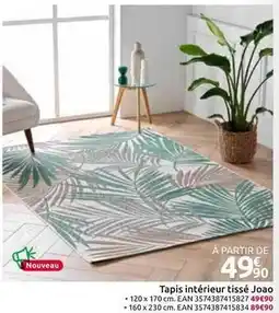 Mr Bricolage Tapis intérieur tissé joao offre