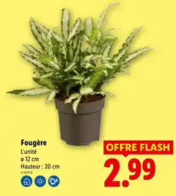 Lidl Fougère offre