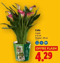 Lidl Calla offre