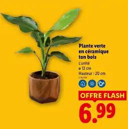 Lidl Plante verte en céramique ton bois offre