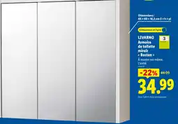 Lidl LIVARNO Armoire de toilette miroir « Boston » offre