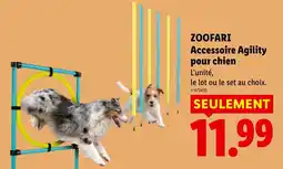 Lidl ZOOFARI Accessoire Agility pour chien offre