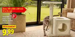 Lidl ZOOFARI Arbre à chat moyen modèle offre