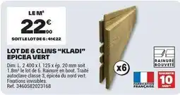 Brico Dépôt Dim - lot de 6 clins kladi epicea vert offre