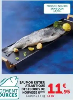 U Express GEMENT SOURCES SAUMON ENTIER ATLANTIQUE DES FJORDS DE NORVEGE U(G)(D) offre