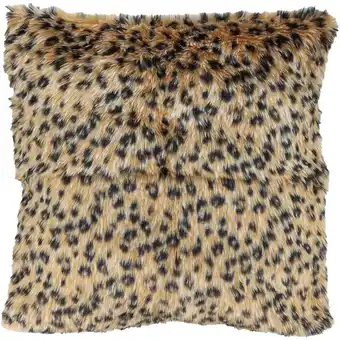 Action Housse de coussin de velours offre