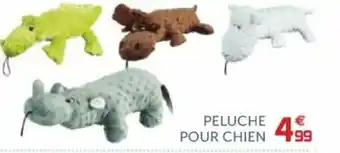 Gifi Peluche pour chien offre