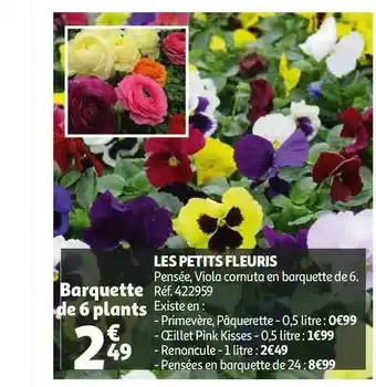 Auchan Les Petits Fleuris offre