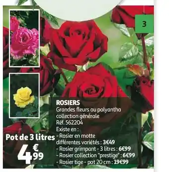 Auchan Rosiers offre