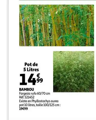 Auchan Bambou offre
