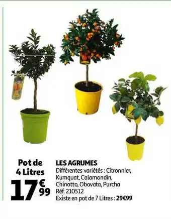 Auchan Les Agrumes offre