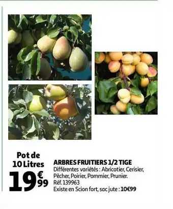 Arbres Fruitiers 1-2 Tige