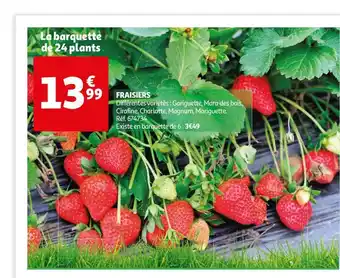 Auchan Fraisiers offre