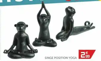 Singe position Yoga