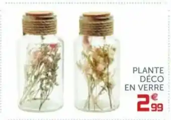 Gifi Plante déco en verre offre