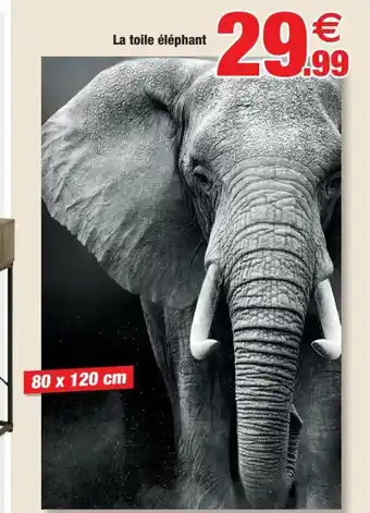 Bazarland La Toile éléphant offre