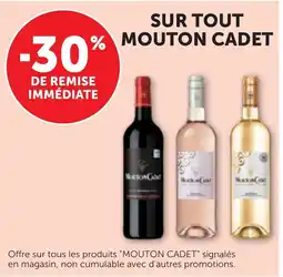 Bi1 Mouton cadet offre