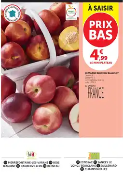 Maximarché NECTARINE JAUNE OU BLANCHE offre
