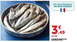 Bi1 SARDINE offre
