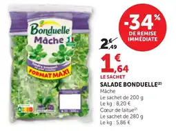 Bi1 Bonduelle Mâche offre