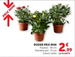 Bi1 ROSIER PRIX MINI offre