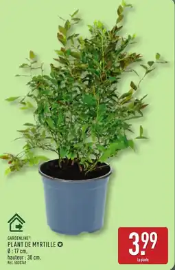 ALDI GARDENLINE PLANT DE MYRTILLE offre