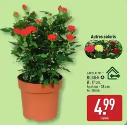 ALDI GARDENLINE ROSIER offre