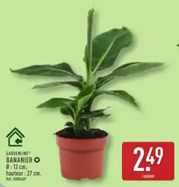 ALDI GARDENLINE BANANIER offre