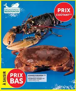 Hyper U HOMARD EUROPEEN offre