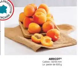 U Express ABRICOT offre