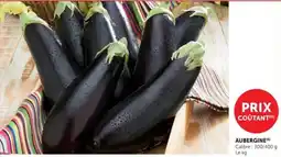 Hyper U AUBERGINE offre