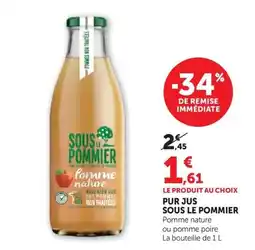 Super U Sous le Pommier Pomme nature offre