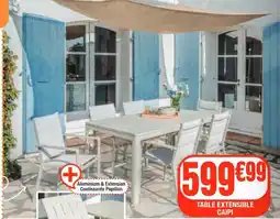 La Foir'Fouille Table extensible caipi offre