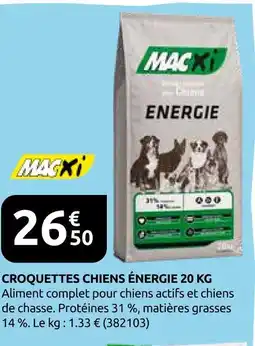 Rural Master Macxi croquettes chiens énergie offre