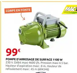 Rural Master Mac pompe d'arrosage de surface 1100 w offre