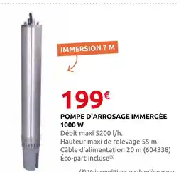 Rural Master Pompe d'arrosage immergée 1000 w offre
