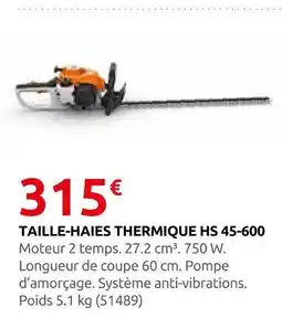 Rural Master Taille-haies thermique hs 45-600 offre