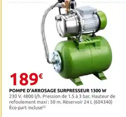 Rural Master Pompe d'arrosage surpresseur 1300 w offre
