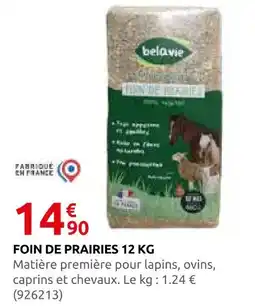 Rural Master Belavie foin de prairies 12 kg offre