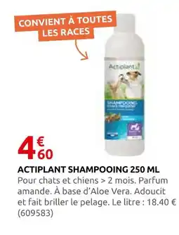 Rural Master Actiplant shampooing 250 ml offre