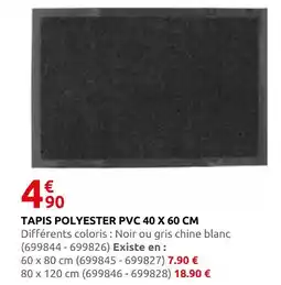 Rural Master Tapis polyester pvc 40 x 60 cm offre