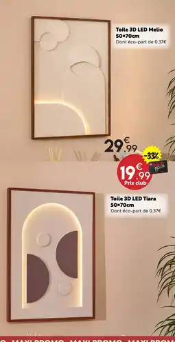 Maxi Bazar Toile 3d led tiara offre