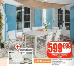 La Foir'Fouille Papillon - table extensible calip offre