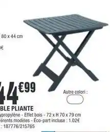 La Foir'Fouille Ble pliante offre