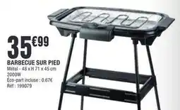 La Foir'Fouille Barbecue sur pied offre
