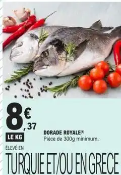 E.Leclerc Dorade royale offre